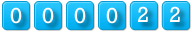 website counter