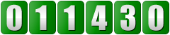 website hit counter