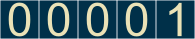 website hit counter